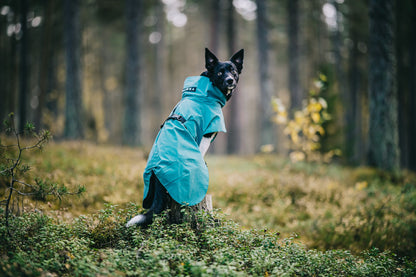 PAIKKA Visibility Raincoat koiran sadetakki, emerald