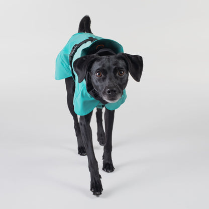 PAIKKA Visibility Raincoat koiran sadetakki, emerald