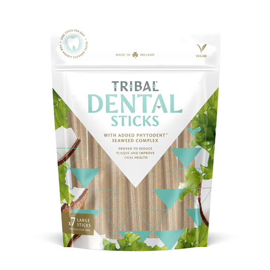 Tribal Dental Sticks L 7 kpl hampaidenhoitoherkut