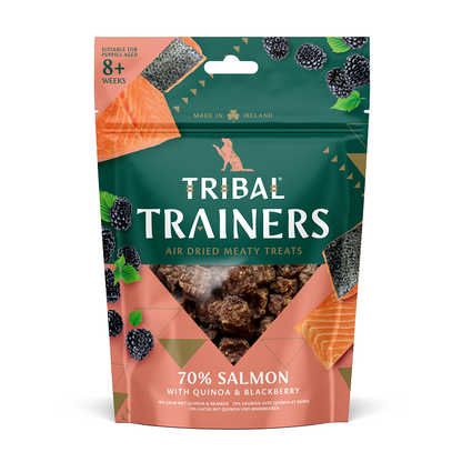 Tribal Trainers Salmon & Blackberry koiran makupala 80 g