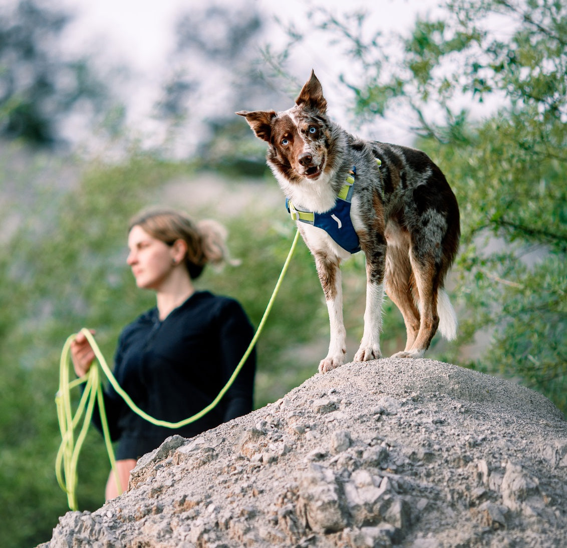 Woolly Wolf Alpha 360 Deep Teal Mix koiran valjaat