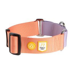 Woolly Wolf Martingale Salmon Pink Mix koiran kaulapanta