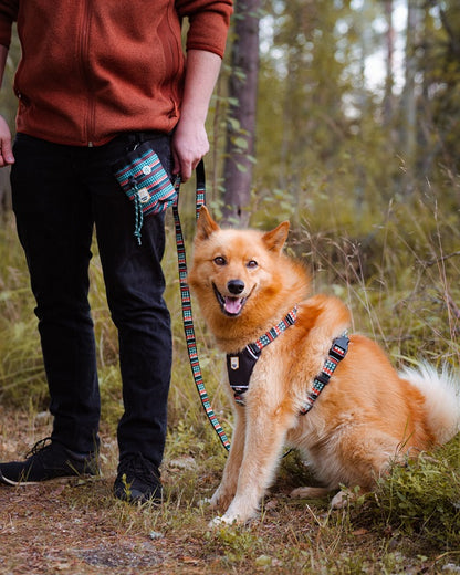 Woolly Wolf Woodland koiran valjaat