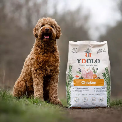 YDOLO Healthy & Pure Chicken puolikostea koiranruoka