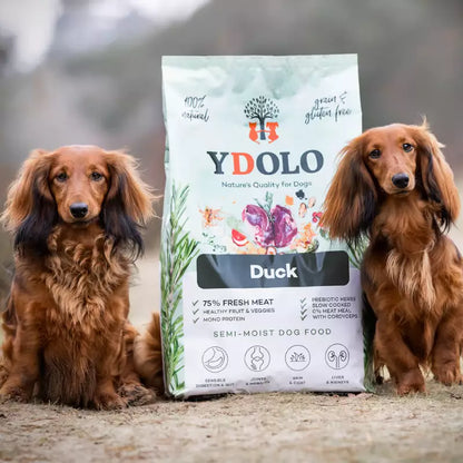 YDOLO Healthy & Pure Duck puolikostea koiranruoka