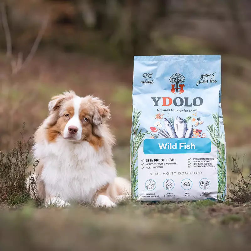 YDOLO Healthy & Pure Wild Fish puolikostea koiranruoka