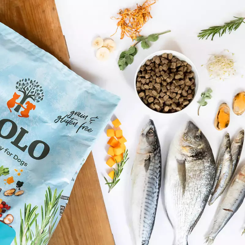 YDOLO Healthy & Pure Wild Fish puolikostea koiranruoka